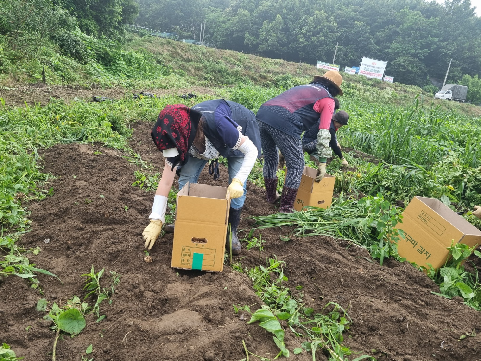 KakaoTalk_20250630_154939187_13.jpg
