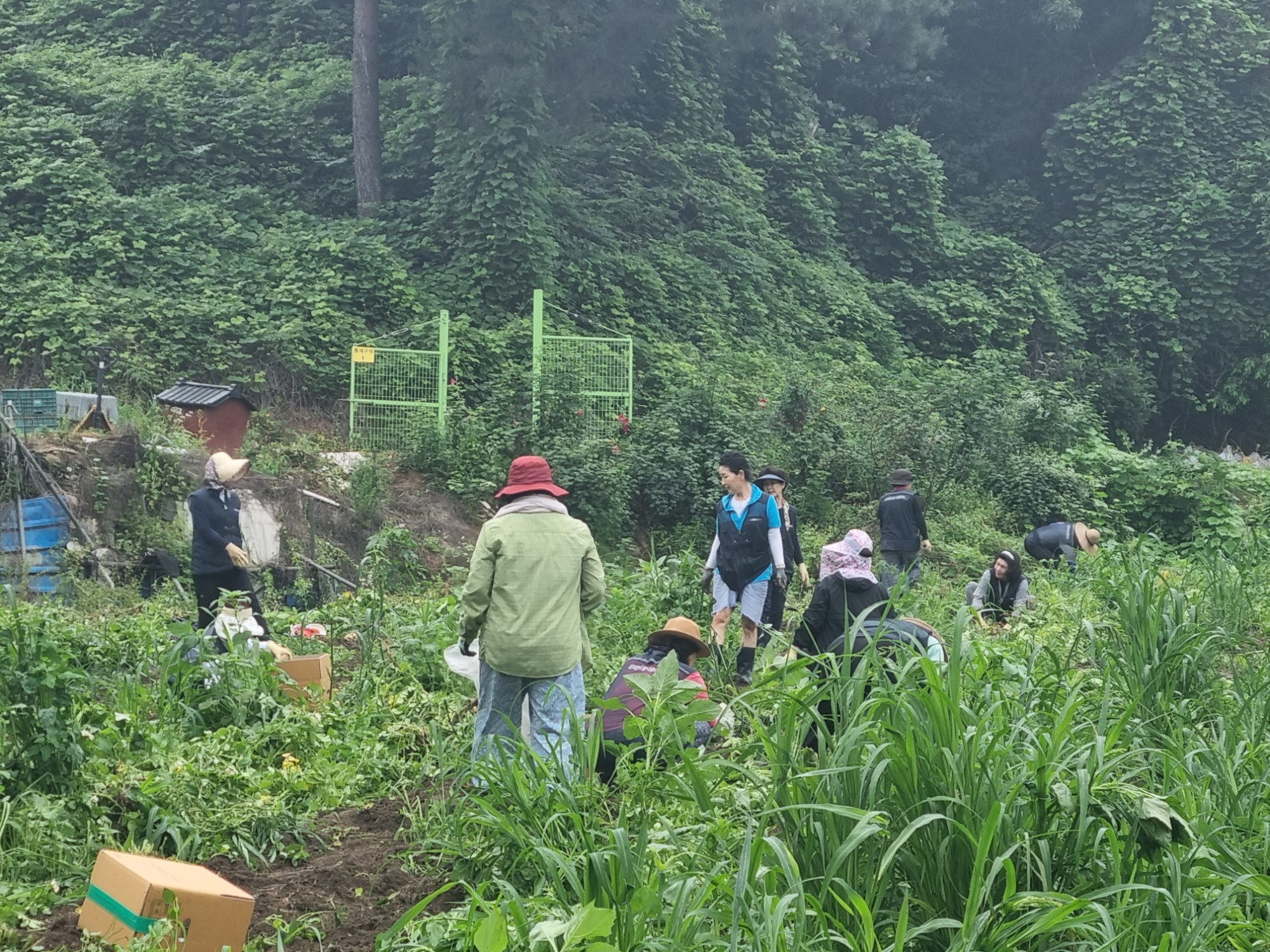 KakaoTalk_20250630_154939187_18.jpg