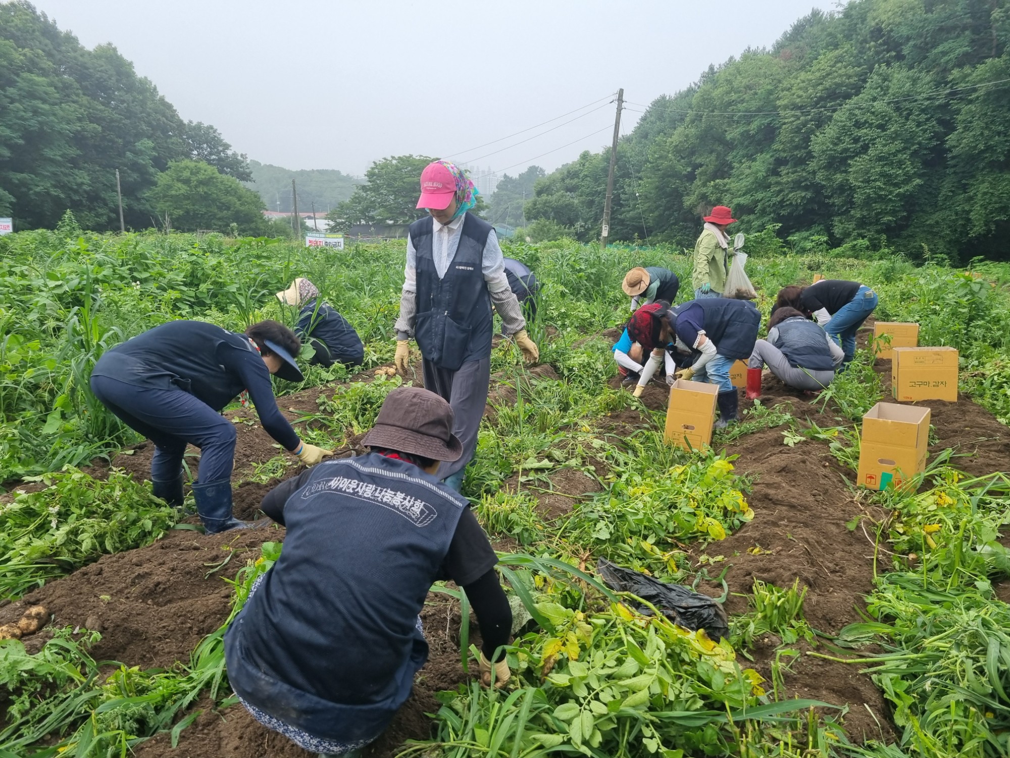 KakaoTalk_20250630_154939187_19.jpg