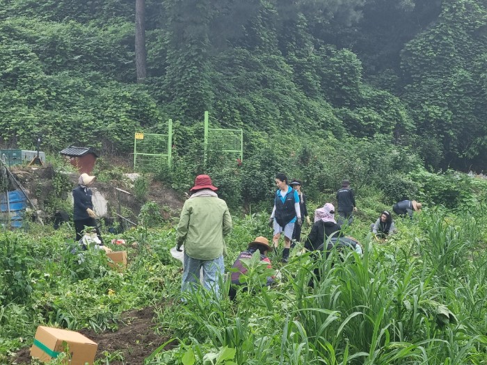 KakaoTalk_20250630_154939187_18.jpg